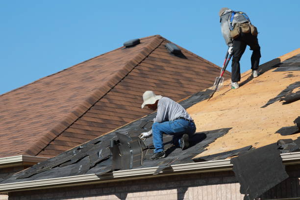 Best Storm Damage Roof Repair  in Nogales, AZ